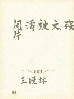 周涛被文强睡图片