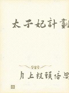 太子妃计划