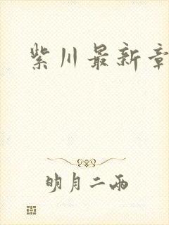 紫川最新章节