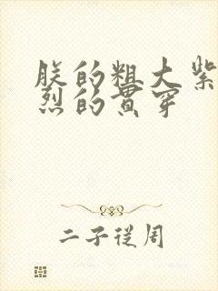 朕的粗大紫红猛烈的贯穿