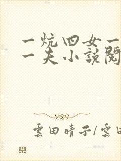 一炕四女一共侍一夫小说阅读