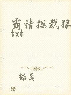 霸情总裁狠狠爱txt