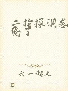 二指探洞感觉要飞了