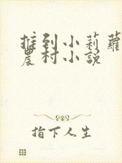 推到小莉萝稚嫩农村小说