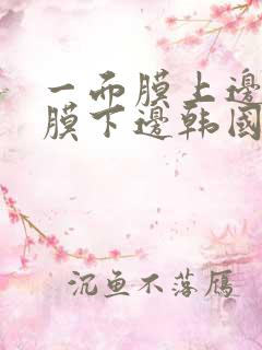 一面膜上边一面膜下边韩国