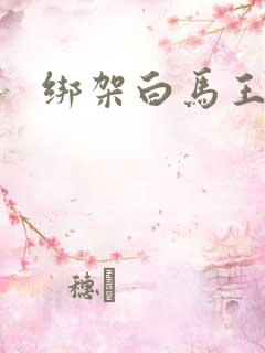 绑架白马王子
