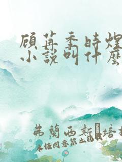 顾苒季时煜电竞小说叫什么名字