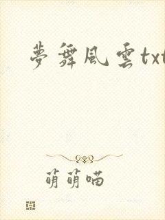 梦舞风云txt