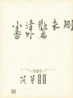 小清欢未删减版番外篇