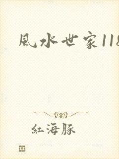 风水世家118