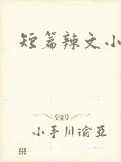 短篇辣文小说