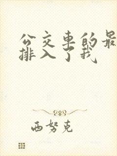 公交车的最后一排入了我