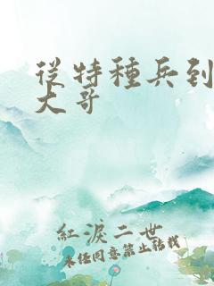 从特种兵到黑道大哥