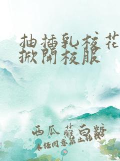 抽插乳校花老师掀开校服