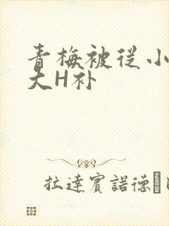 青梅被从小摸到大H补