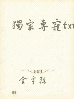 独家专宠txt
