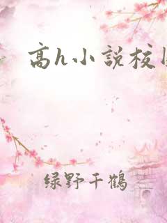 高h小说校园