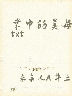 掌中的美母版主txt