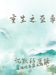 重生之至尊衙内