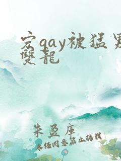 宏gay被猛男双龙