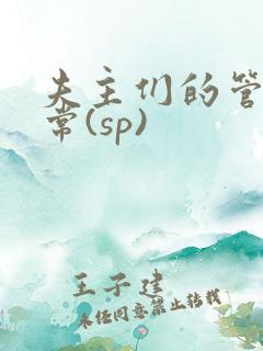 夫主们的管教日常(sp)