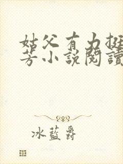 姑父有力挺送小芳小说阅读