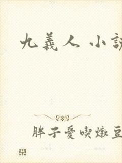 九义人 小说