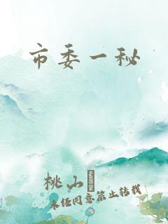 市委一秘