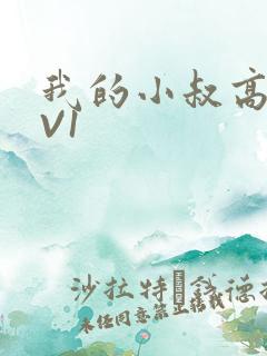 我的小叔高H1V1