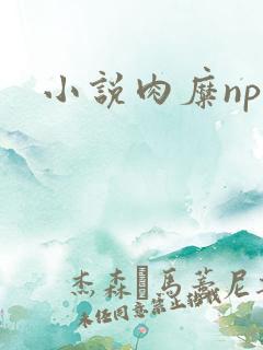 小说肉糜np