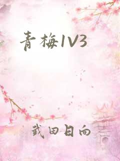 青梅1V3