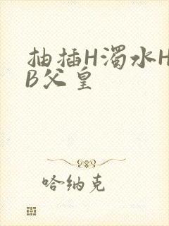 抽插H浊水H嫩B父皇