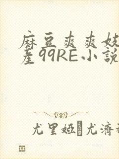 麻豆爽爽妓女国产99RE小说