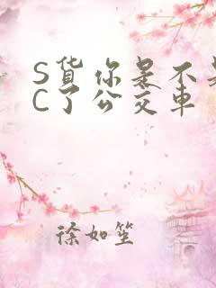 S货你是不是欠C了公交车