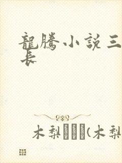 龙腾小说三宝局长