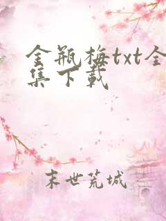 金瓶梅txt全集下载