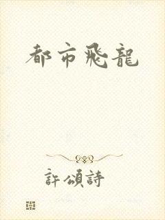 都市飞龙