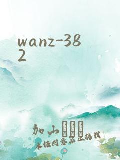 wanz-382