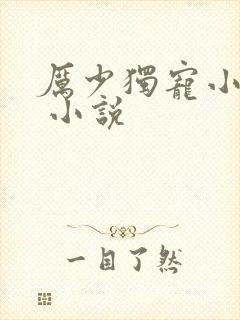 厉少独宠小娇妻 小说