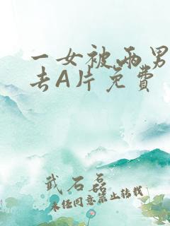 一女被两男桶进去A片免费