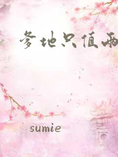 爹地只值两块钱