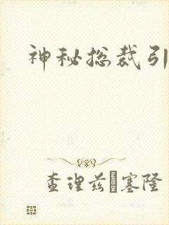 神秘总裁引入怀