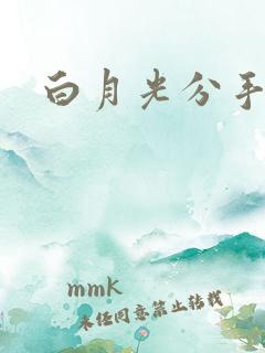 白月光分手日常