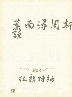叶南浔周斯年小说