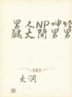 男人NP呻吟双腿大开男男小说