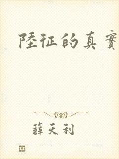 陆征的真实身份