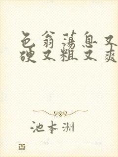 色翁荡息又大又硬又粗又爽