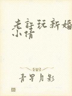 老许玩新婚少妇小倩