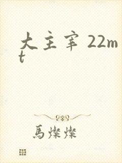 大主宰 22mt