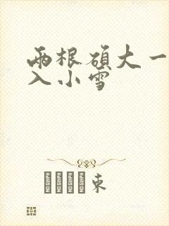 两根硕大一起挤入小雪